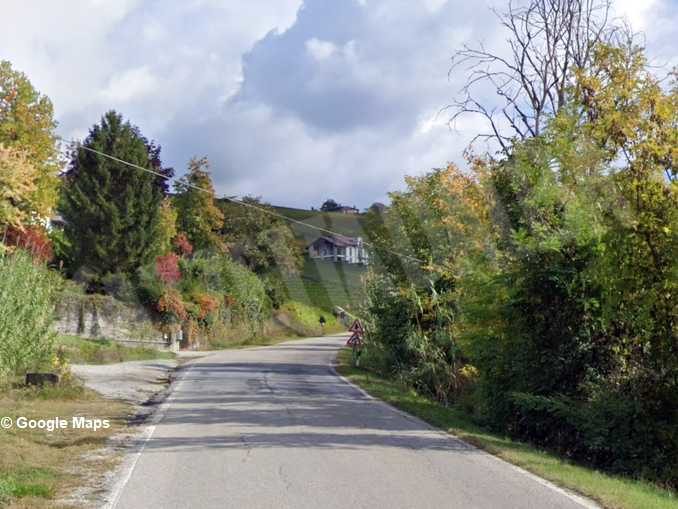 Lunedì 22 marzo divieto di transito in strada Serre ad Alba per il taglio delle piante