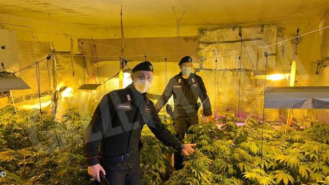 Coltivavano marijuana in un casale abbandonato a Portacomaro: arrestati
