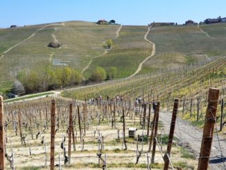 Castiglione Tinella, nel parco letterario e alla Madonna del buon consiglio