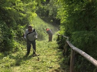 Dogliani: il volontari della Pro loco puliscono i sentieri