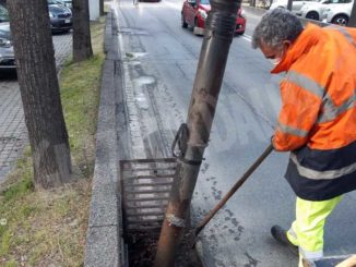 Il consigliere Elena Alessandria segue la cura delle strade