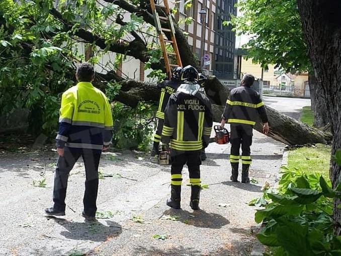 Sommariva Bosco: rimosso l'albero caduto nel viale vicino alla casa di riposo 1