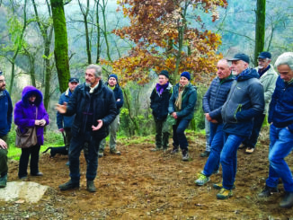 Canale ecologia compra 60mila metri di bosco per difendere i castagni 1