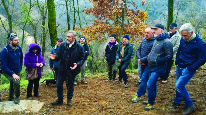 Canale ecologia compra 60mila metri di bosco per difendere i castagni 1