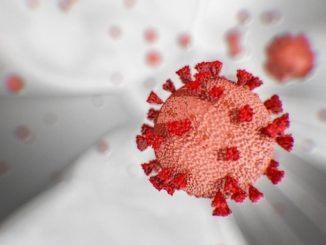 Coronavirus Piemonte: solo più 15 i ricoverati in terapia intensiva, nessun decesso