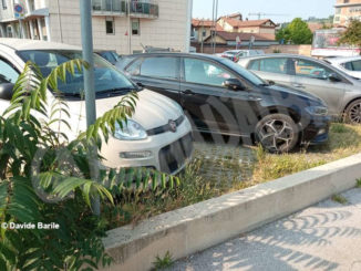 Erba alta nel parcheggio di vi