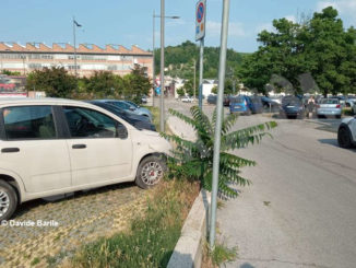 Erba alta nel parcheggio di vi 7