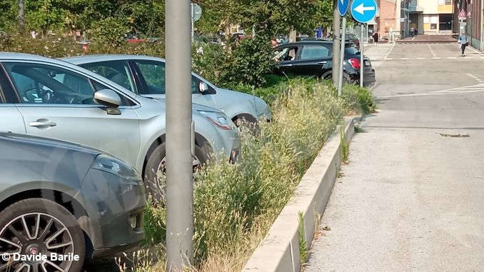 Erba alta nel parcheggio di vi 5