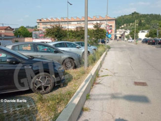 Erba alta nel parcheggio di vi 4