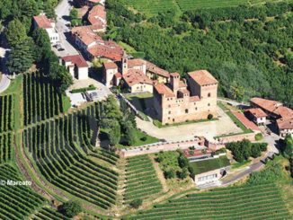 La vigna del castello di Grinzane Cavour diventa un museo 1