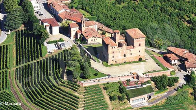 La vigna del castello di Grinzane Cavour diventa un museo 1