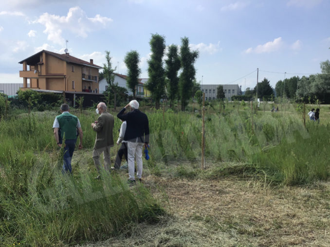 Inaugurato dal Rotary Club Bra il primo bosco urbano della Provincia 1