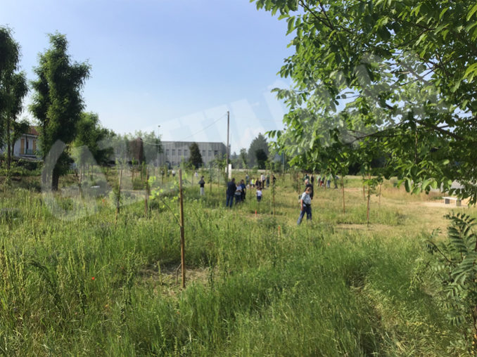 Inaugurato dal Rotary Club Bra il primo bosco urbano della Provincia