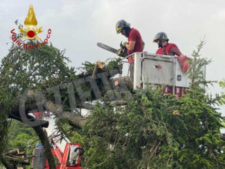 Il nubifragio di ieri piega la croce sul campanile di Calliano 4