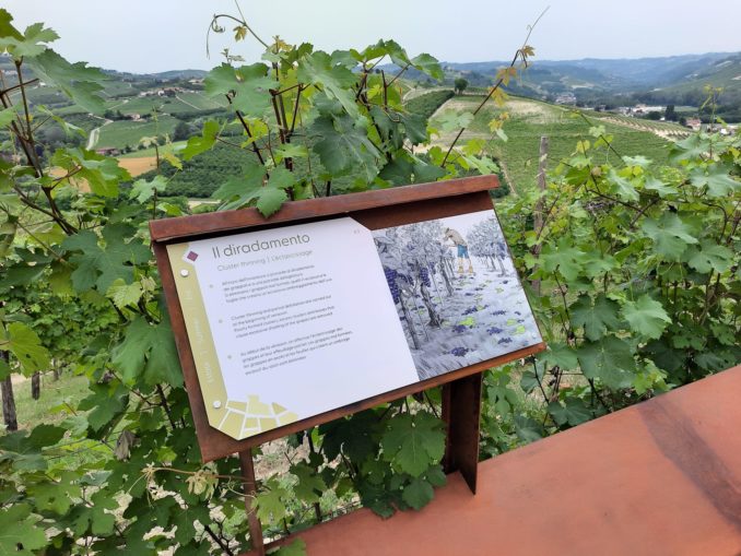 Inaugurato il Museo in Vigna, festeggiando con la musica l