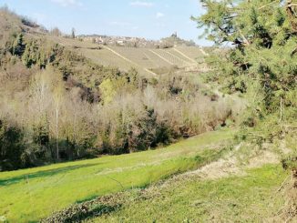 Annullate le escursioni notturne dell’Ecomuseo