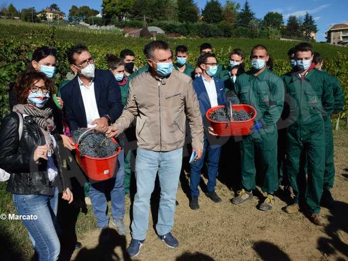 La vigna urbana della scuola Enologica sarà aperta alle visite guidate