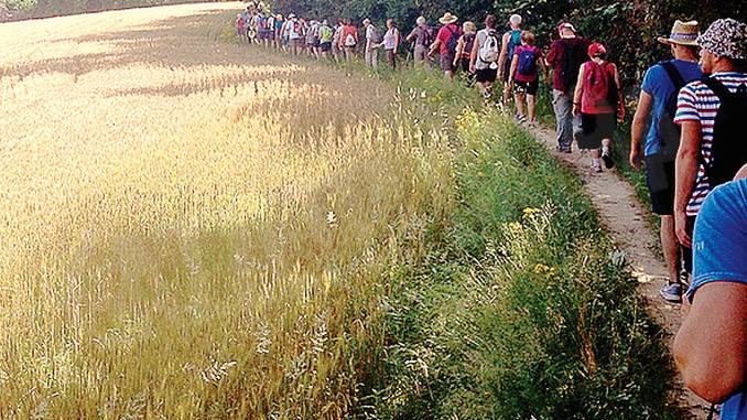 Da Bra a Castellinaldo sui passi di fratel Luigi Bordino