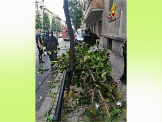 Auto si schianta contro contro un palo dell'illuminazione pubblica