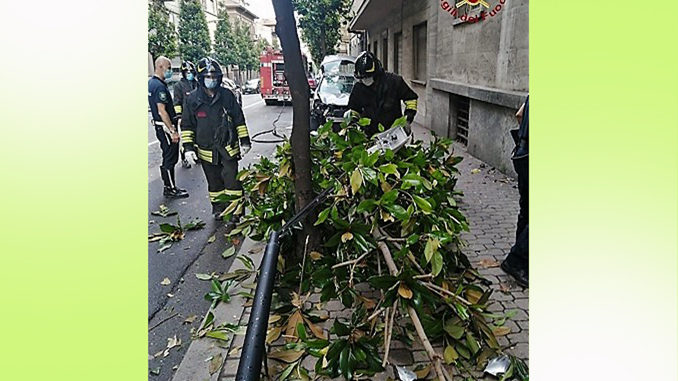 Auto si schianta contro contro un palo dell'illuminazione pubblica