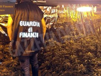 Sequestrata dalla Finanza una serra hi-tech per la marijuana