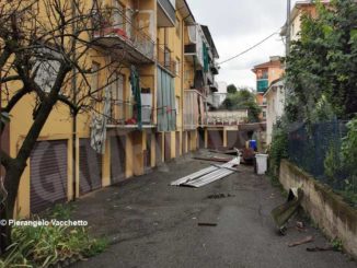 Forte temporale ad Alba: abbattuto un tetto via Pietro Ferrero e molti alberi 4