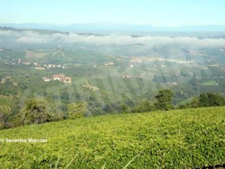 Vista sulle Langhe da Diano d'Alba