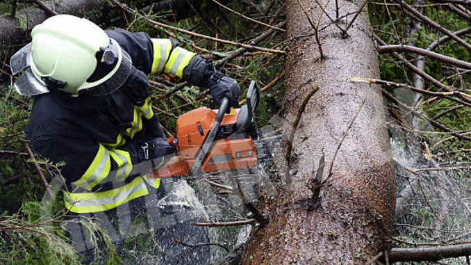 Crollo di alberi a Verduno e a Sommariva del Bosco a causa del maltempo