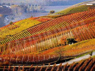 Ottimo piano urbanistico suggerito da Granata per le Langhe e il Roero