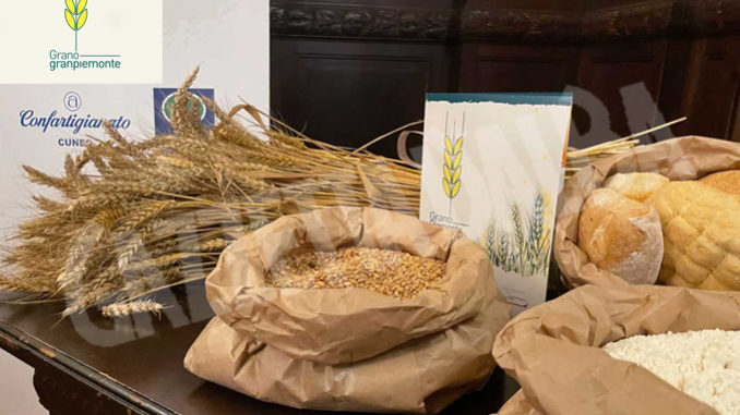 Confartigianato Cuneo consegna ai panifici cuneesi 10 tonnellate della speciale farina tutta piemontese per farne sperimentare la qualità