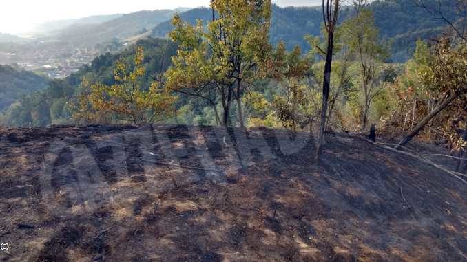 Riprese le attività di bonifica sul luogo dell'incendio di Pocapaglia 1