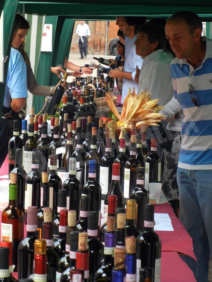 Go wine invita ad Alba domenica 19 e 26 settembre per la Festa del vino 1