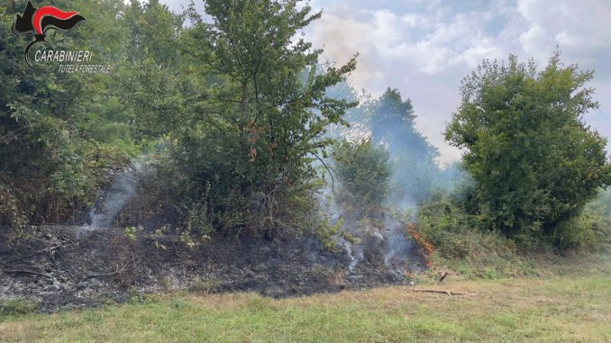 Incendi boschivi: 21 i casi censiti nella Granda dall'inizio dell'anno. Multe per 27mila euro