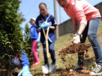 Un albero in pi&ugrave; per gli abitandi di Rodello