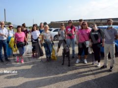 World clean up day: Alba pulisce le strade attorno alla tangenziale