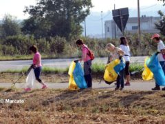 World clean up day: Alba pulisce le strade attorno alla tangenziale 4