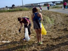 World clean up day: Alba pulisce le strade attorno alla tangenziale 5