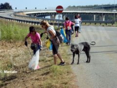 World clean up day: Alba pulisce le strade attorno alla tangenziale 7