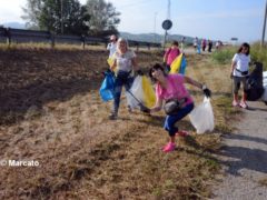 World clean up day: Alba pulisce le strade attorno alla tangenziale 8