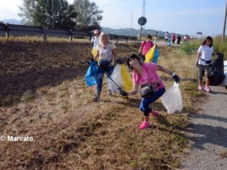 World clean up day: Alba pulisce le strade attorno alla tangenziale 8