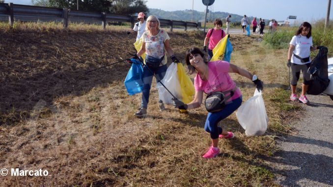 World clean up day: Alba pulisce le strade attorno alla tangenziale 8