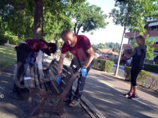 Abbelliamo la città: cittadini al lavoro per ripulire i dintorni del santuario 3