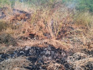 Accumulo di compost in fiamme a Sommariva Bosco: atteso il sopralluogo di Arpa e Forestali 1