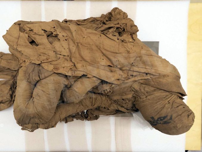 A Bra con la fondazione Crc per la prima volta il restauro di una antica mummia egizia 1