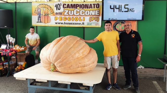 Una zucca da 441 chili a Niella Belbo