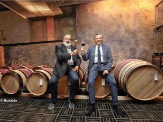 Oggi è il giorno dell'asta benefica Barolo en primeur 1