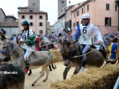 Palio degli asini 2021: Vince Moretta dopo un’ora alla moviola 2