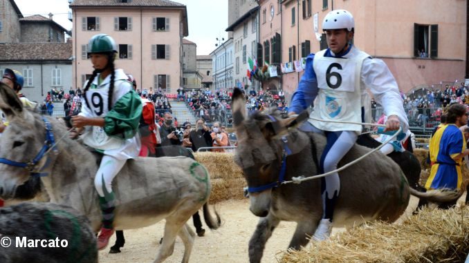 Palio degli asini 2021: Vince Moretta dopo un’ora alla moviola 2