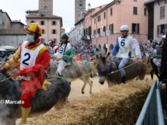 Palio degli asini 2021: Vince Moretta dopo un’ora alla moviola 6