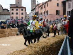 Palio degli asini 2021: Vince Moretta dopo un’ora alla moviola 7